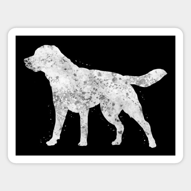 Labrador dog Magnet by Yahya Art